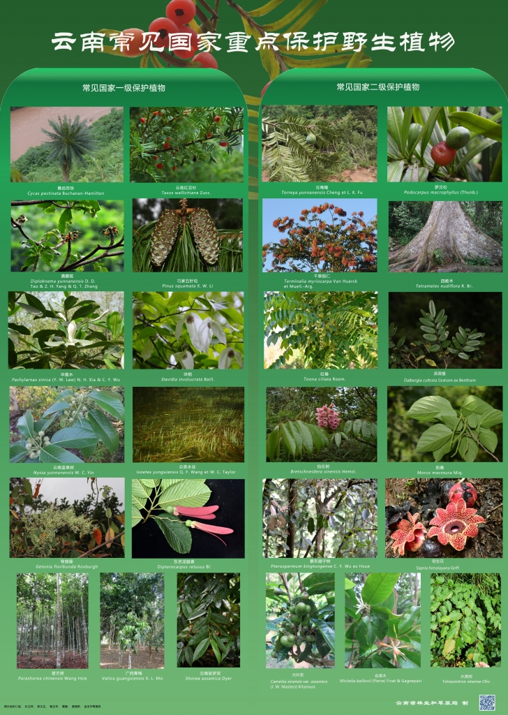 以案普法：：：：：：抑氐惚；；；ぶ参镒